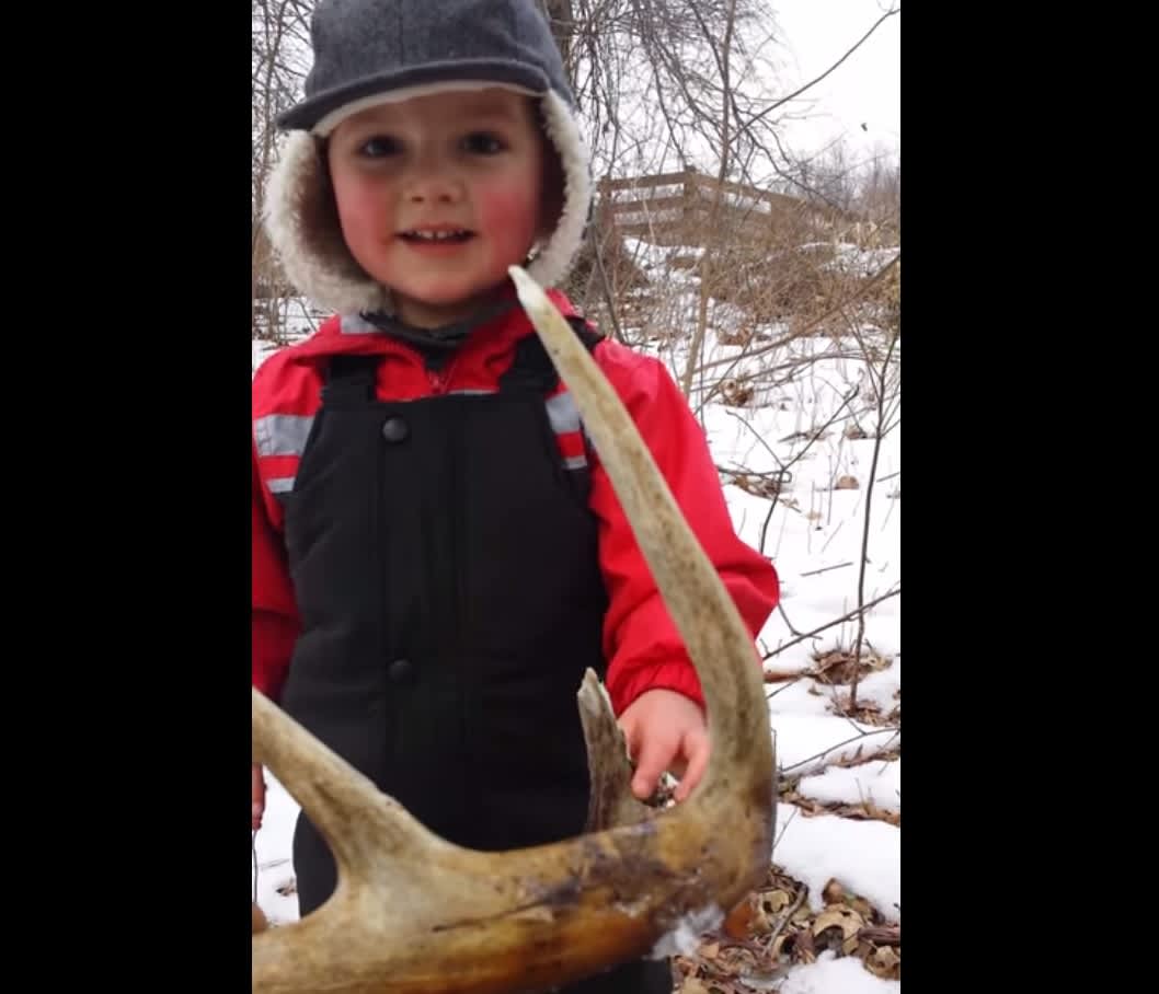 Video: Three-year-old Finds Shed Antler
