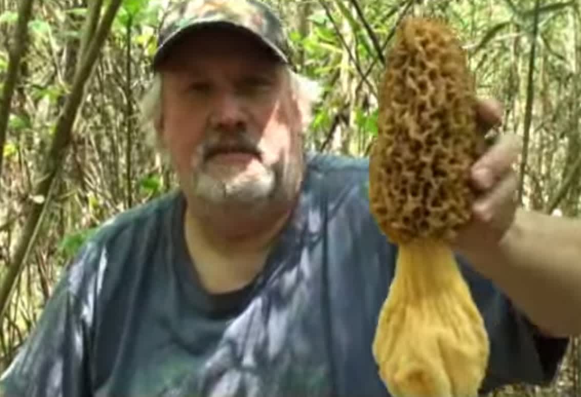 Video: You Need a Machete to Cut This Monster Morel Mushroom