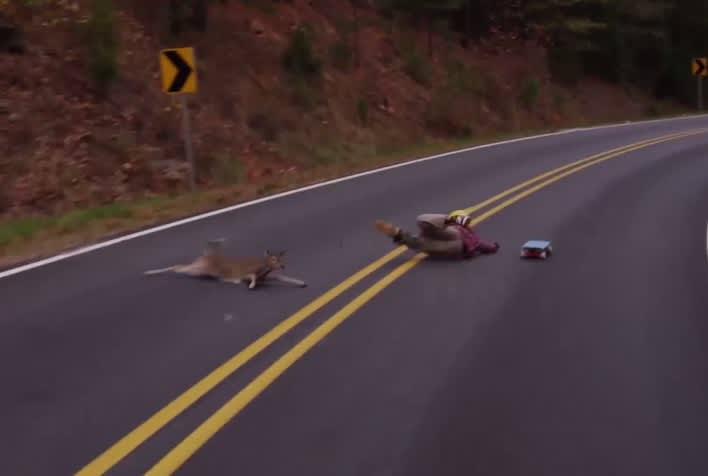 Video: Deer Collision Sends Longboarder Skidding down Road