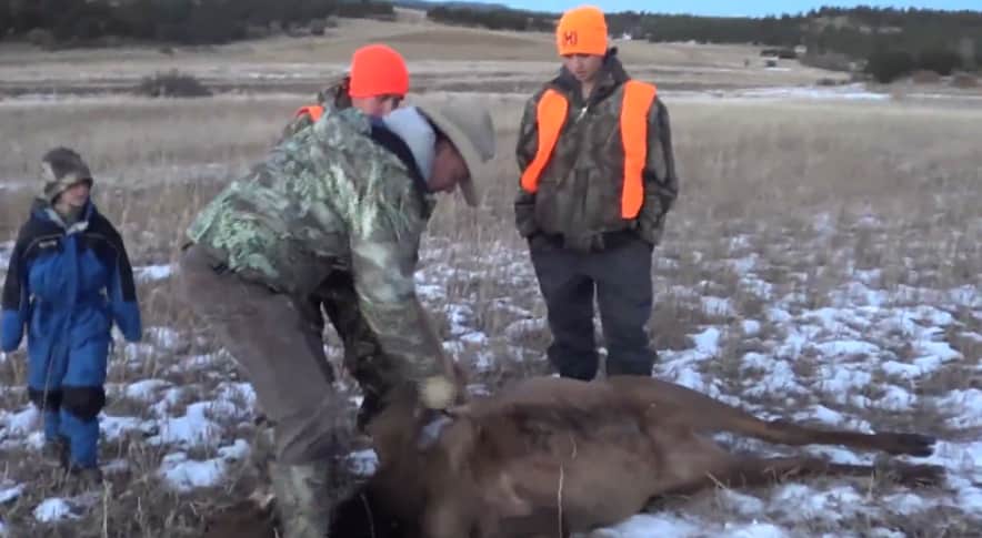 Video: How to Field Dress an Elk in Two and a Half Minutes
