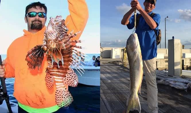 Mississippi Announces New Lionfish, Tilefish State Records