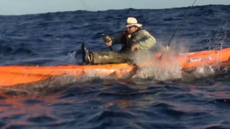 Video: Shark Steals Kayak Angler’s Catch Right Out of His Hands