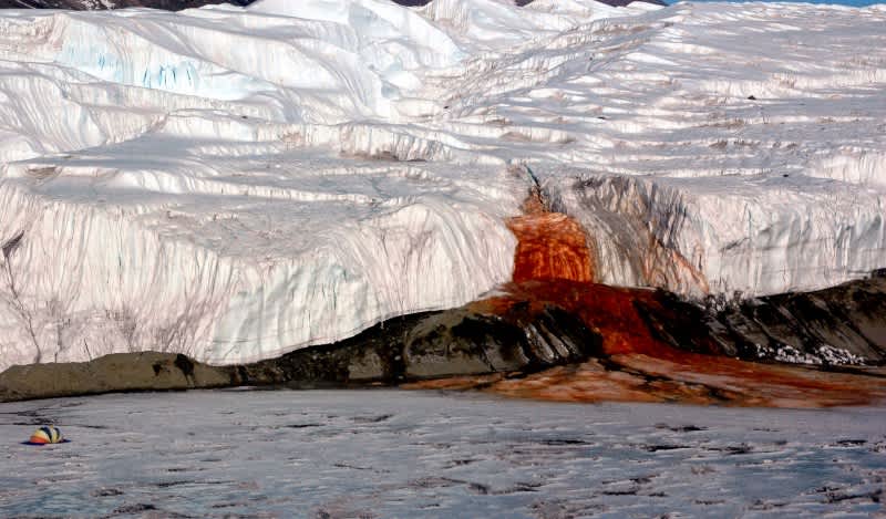 Source of Antarctica’s “Bleeding Glacier” Found