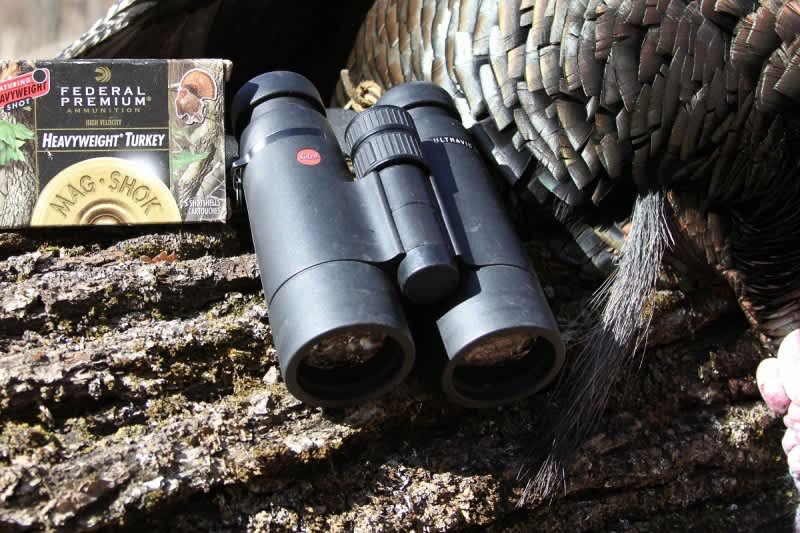 Turkey Hunting Success and Safety on Public Land