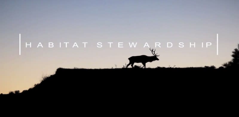 Video: How the RMEF’s Habitat Stewardship Program Protects American Wildlife
