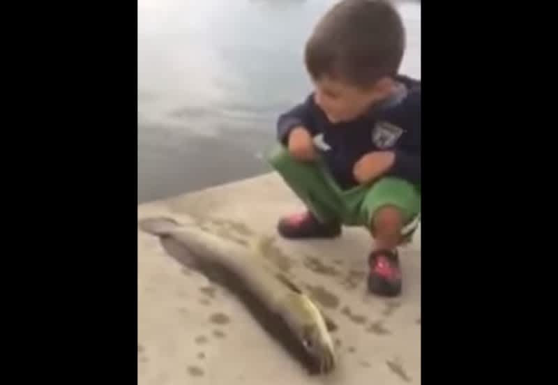 Video: Young Angler Earns His First Fish Slap