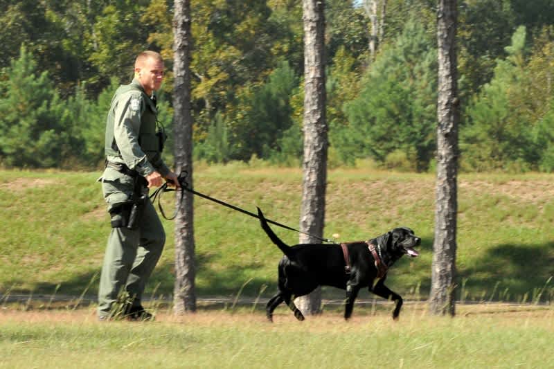 Wildlife Officials Train Fish-sniffing Dogs to Use as Secret Weapon Against Poachers