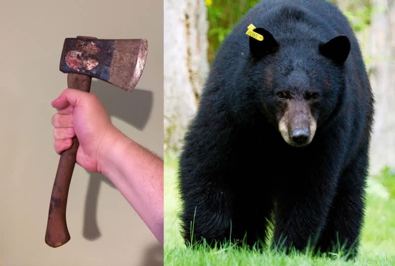 Drunk Man Chases Bear into Woods with Hatchet