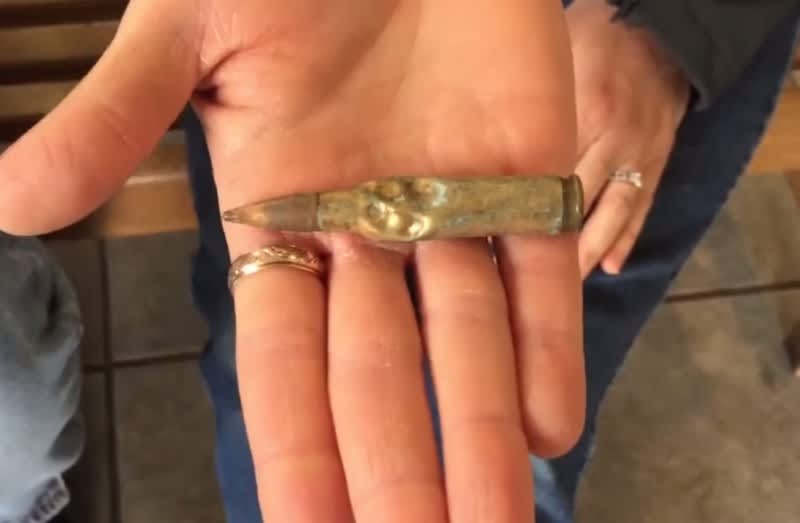 Got Bullets? Hungry Dog Consumes 23 Rounds of .308 Winchester