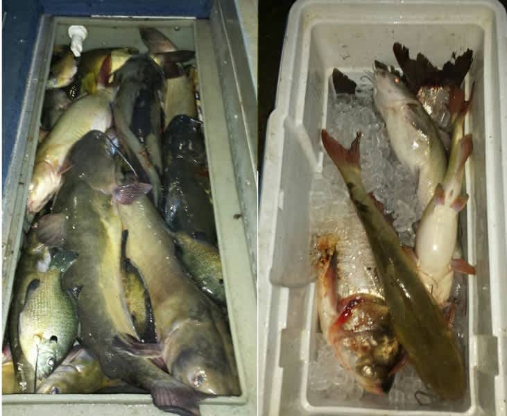 Man Booted from “No-limit” Fishing Lake for Catching Too Many Fish