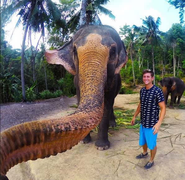 Photo: Elephant Masters Modern Technology, Takes a Selfie