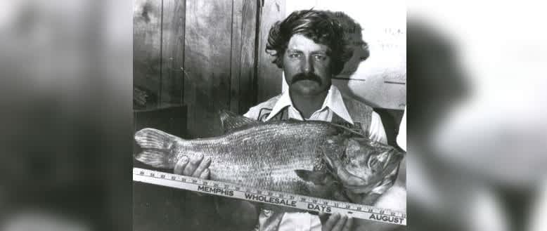 Photos: The Top 9 Current US State Record Largemouth Bass