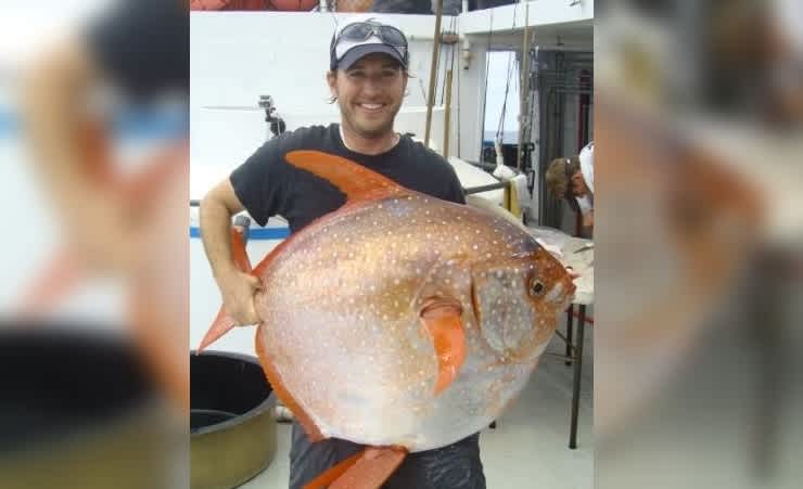 Scientists Discover First-ever Warm-blooded Fish