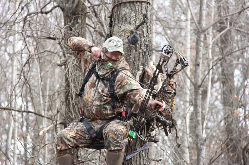 The Traveling Hunter’s 6 Rules for Trimming Shooting Lanes