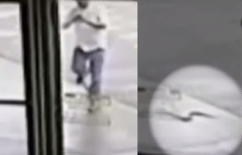 Video: Oklahoma Man Walks into Snake while Texting