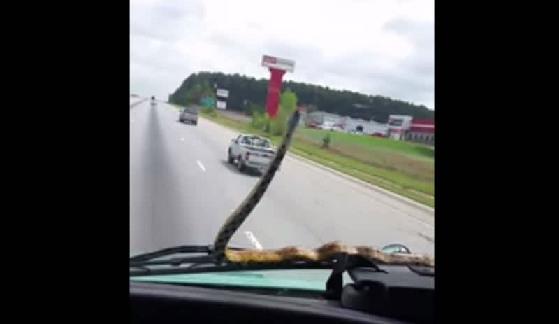 Video: “Windshield Viper” Shocks Driver