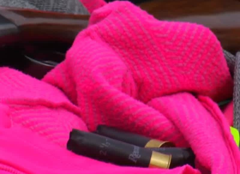 Wisconsin Lawmakers Consider Legalizing “Blaze Pink” for Hunting