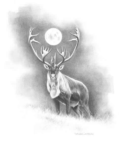 The BAREBOW! Chronicles: Moon Over My Antlers