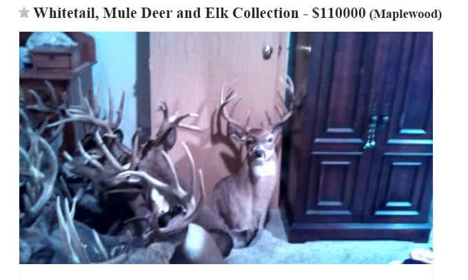 Optimistic Craigslist Seller Looking to Unload His Taxidermy Collection for Only $110,000