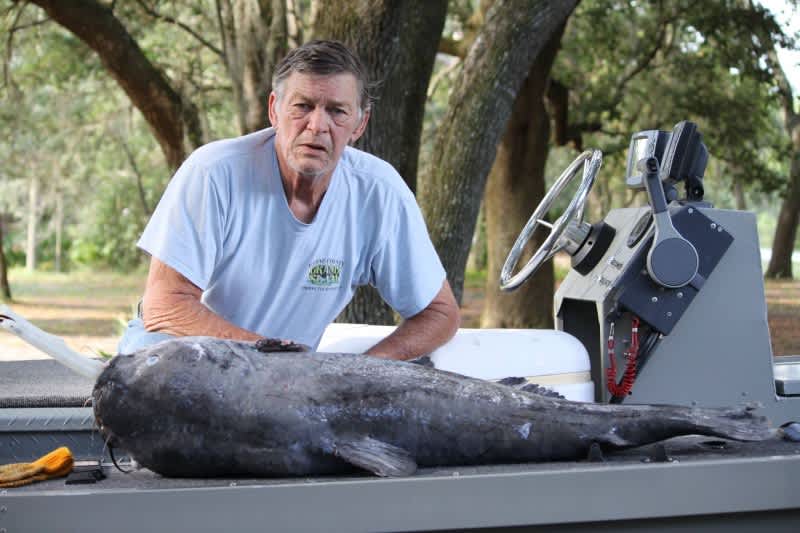 Massive State Record Blue Catfish Caught in Florida