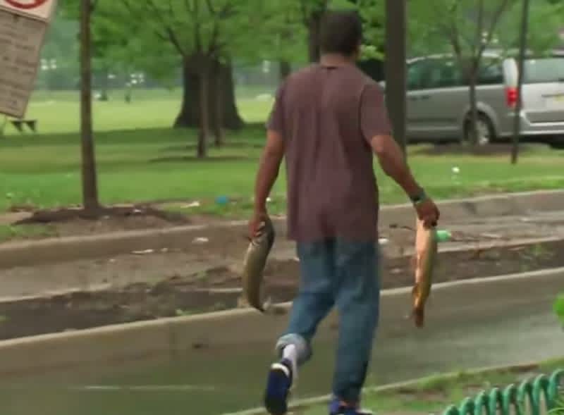 Newark Officials Warn Residents Not to Eat Fish Swimming in City Streets after Flooding