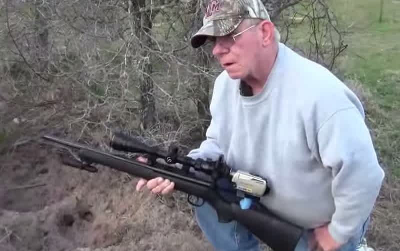 Video: Hunter Instantly Drops a Wild Boar with a .22 LR