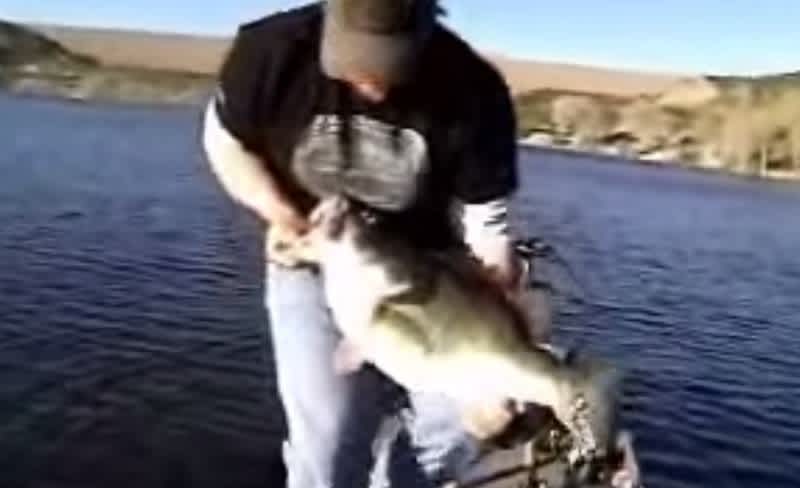 Is This the Biggest Largemouth Bass Ever Caught on Video?