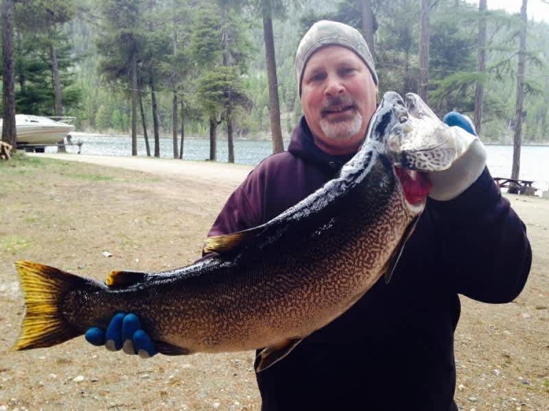 Angler Catches State Record Tiger Trout, Second Largest in World