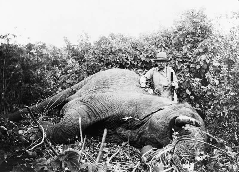 8 Famous Conservationists Who Were Also Hunters