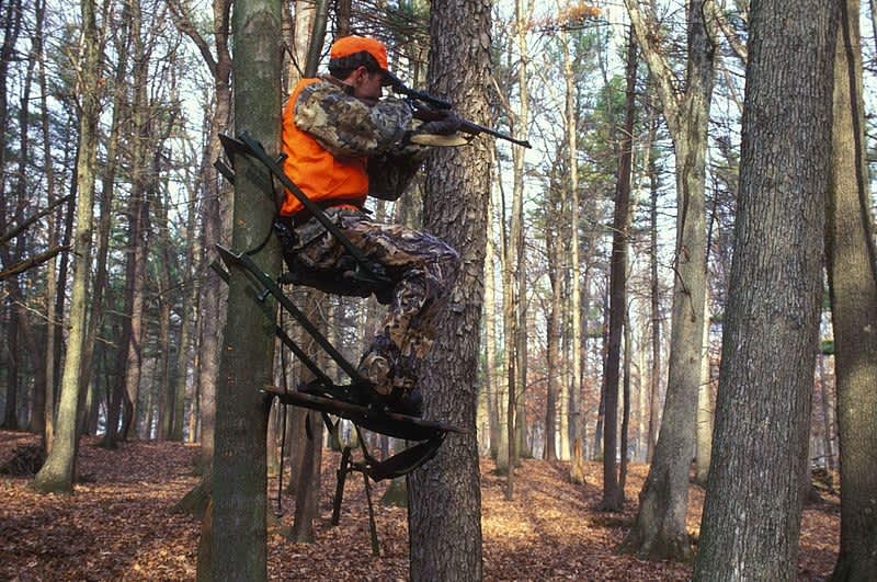 North Carolina Legalizes Sunday Hunting, Restrictions Remain