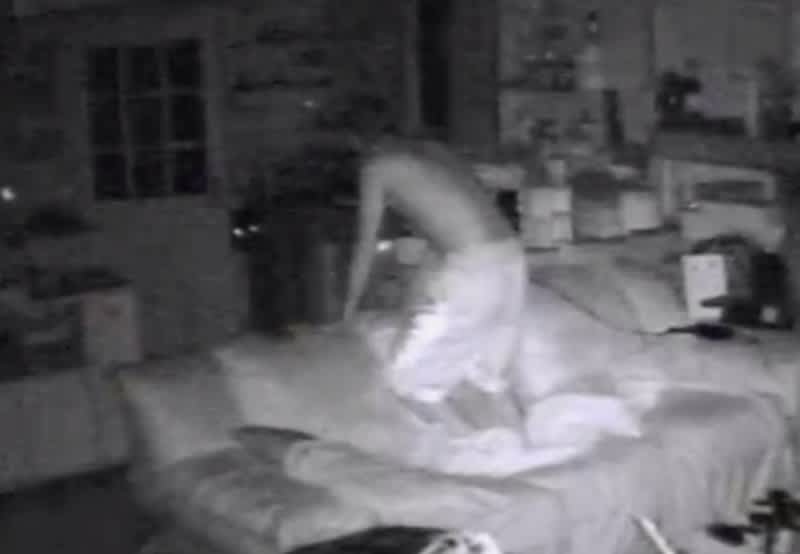 Video: Security Camera Records Bear Break-in, Face-off with Resident