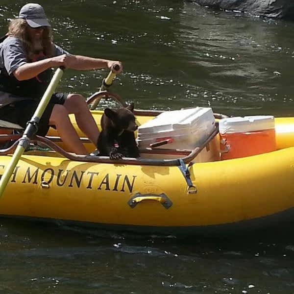 Whitewater Rafting Guide Rescues Orphaned Bear Cub