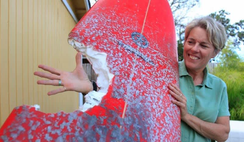 Shark Takes Massive Bite Out of Woman’s Surfboard