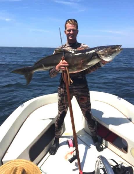Spearfisherman Takes New Jersey’s First Cobia Record