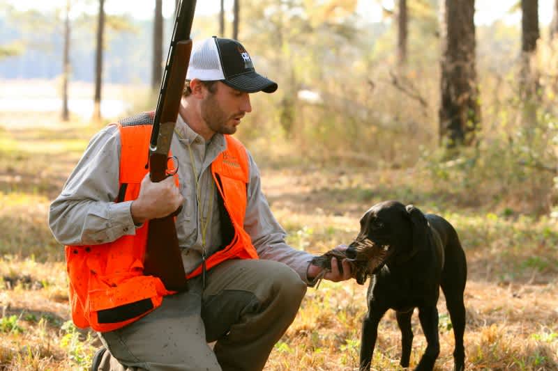 The Top 10 Smartest Hunting Dog Breeds