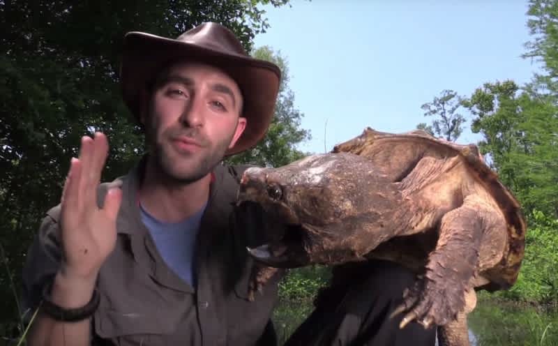 Video: Man Lets Alligator Snapping Turtle Bite His Arm