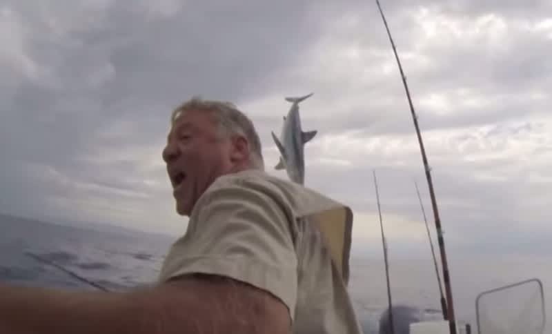 Video: Shark Tries Its Hardest to Jump into Angler’s Boat