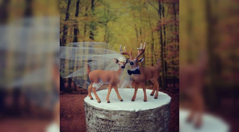Photos: 20 Great Ideas for Hunting-themed Cakes