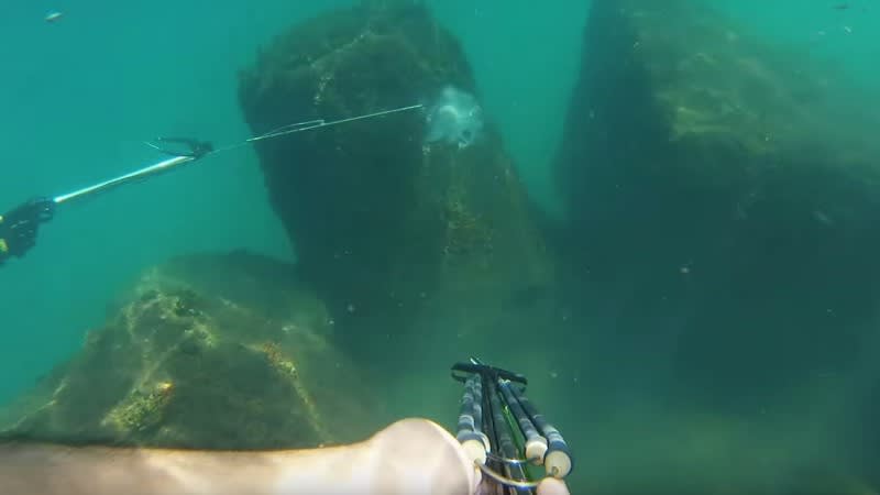 Video: This is One Epic Spearfishing Fail
