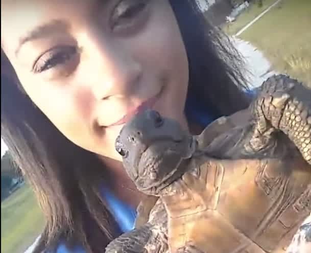 Video: Girl Tries to “Save” Non-aquatic Tortoise, Throws It into Pond