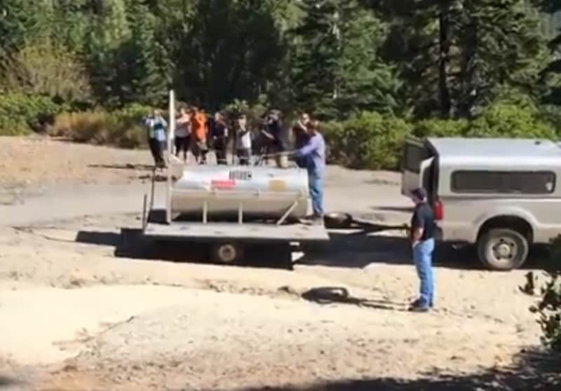 Video: How a Bear Release Can Go Horribly Wrong