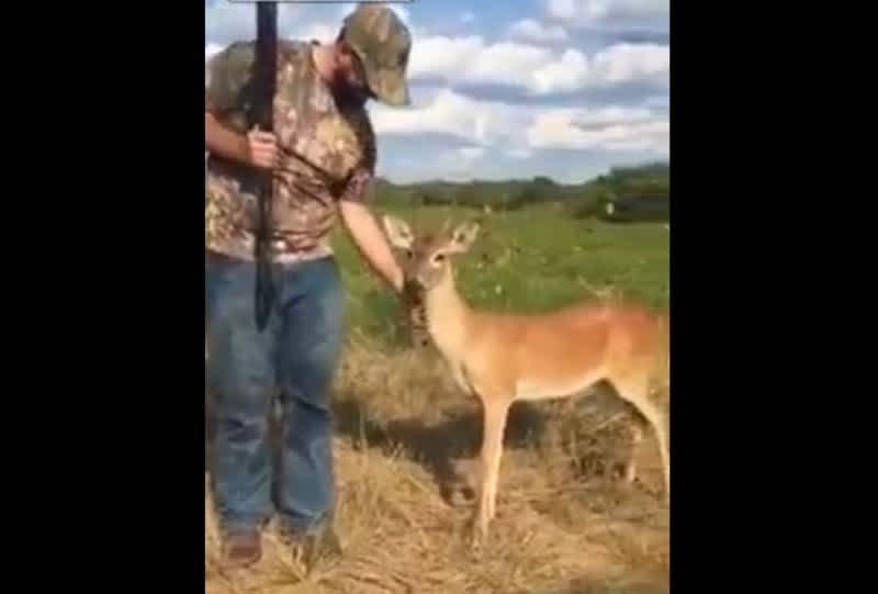 Video: Super-friendly Deer Nuzzles Dove Hunters