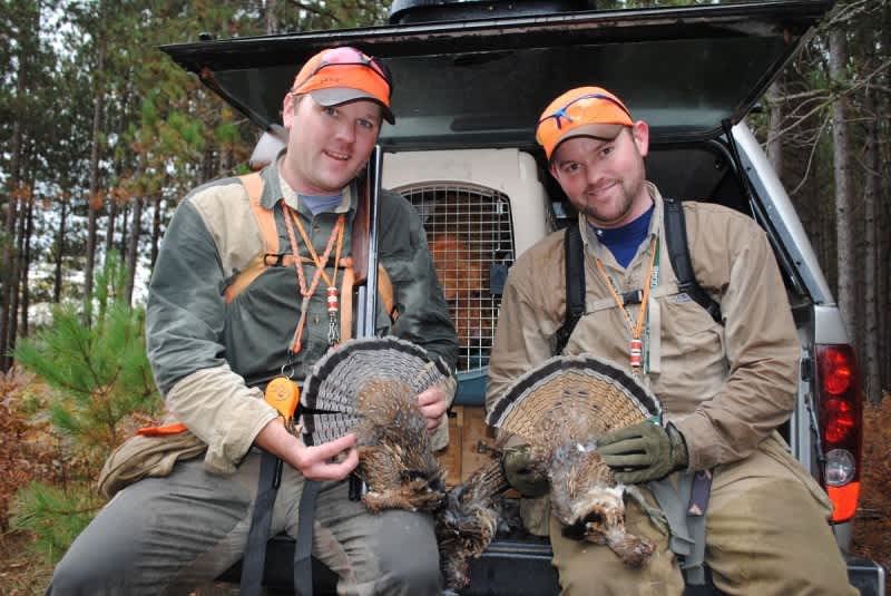 Why Michigan is a Top State for Grouse Hunters