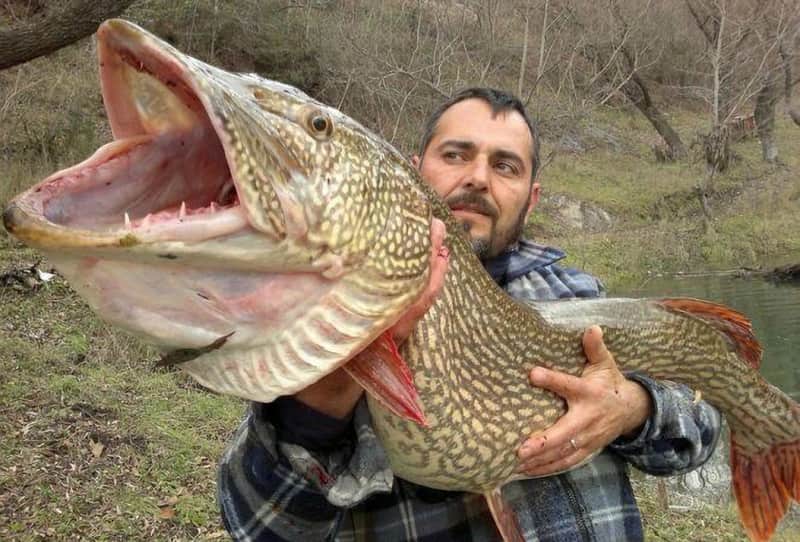 20 Photos That Capture the Essence of Fishing