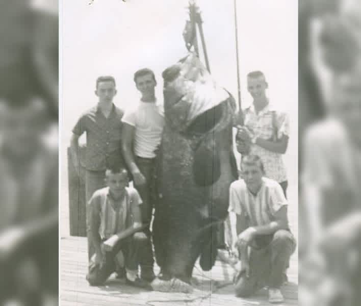 5 World Fishing Records That May Never Be Broken