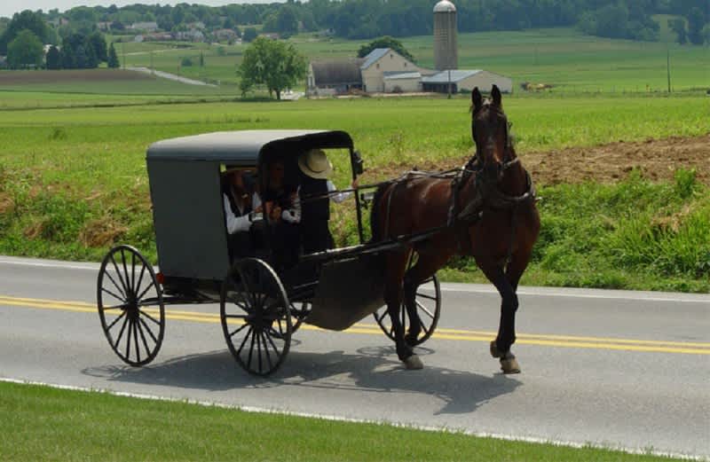Religious Discrimination? Amish Man Sues for Right to Buy Gun Without ID