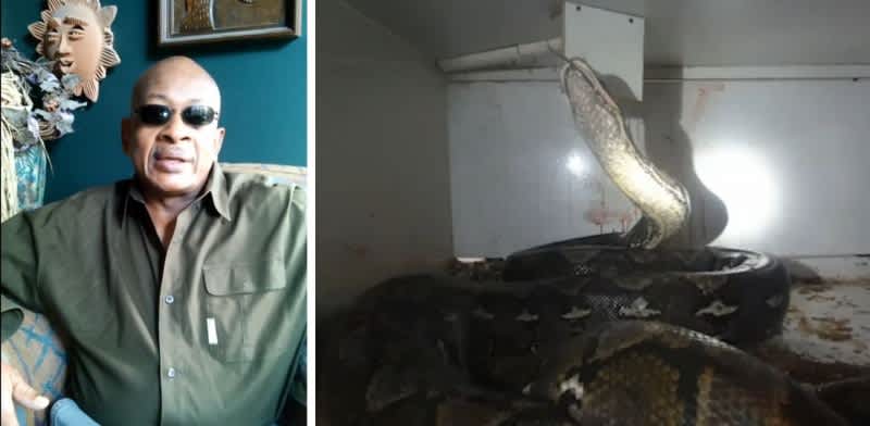Police Rescue Pet Store Owner Being Crushed by 20-foot Python
