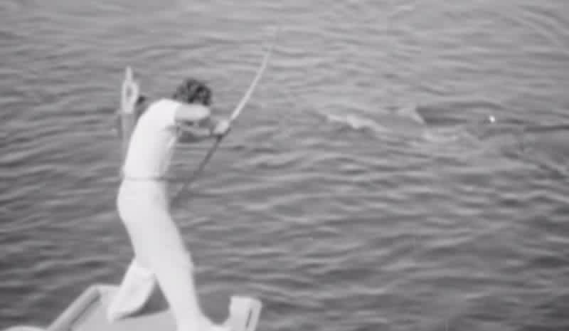 Ronald Reagan Narrates Shark Bowfishing Video Featuring Howard Hill