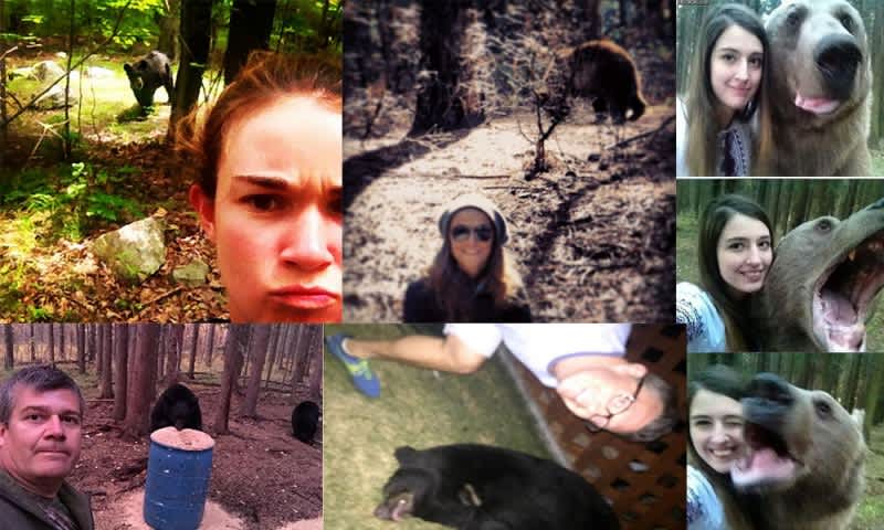 Video: 15 Selfies with Bears That Will Make Your Jaw Drop