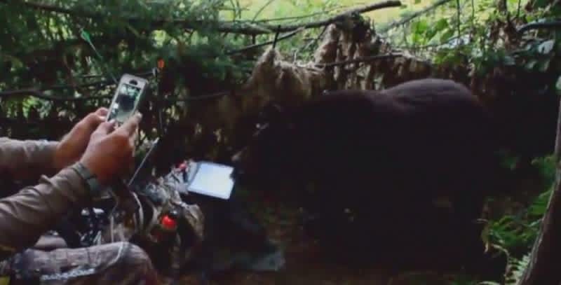 Video: Bear Tries to Steal Hunter’s iPad